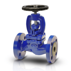Globe Valve